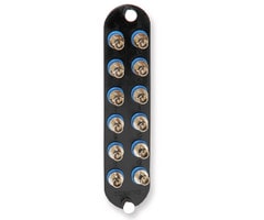 CCH-CP12-19T