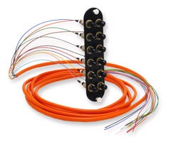 CCH-CP12-5T-P03KH