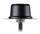 Taoglas-Colosseum-MA850-Antenna-LG.jpg