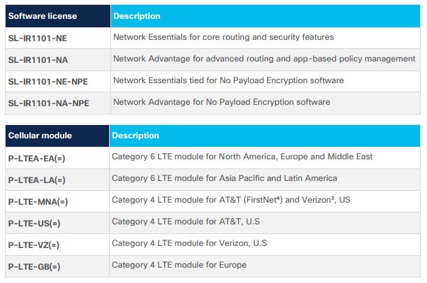 Cisco IR1101 Router Options